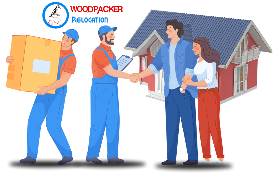 Contact Us for quotation